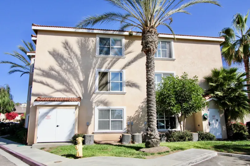 a nice tree adding contrast to a nice neighbourhood of la costa villas