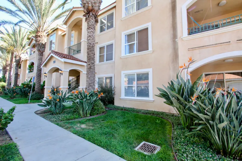 Orange tinted villa in Oceanside, California with palm trees and other plants.
