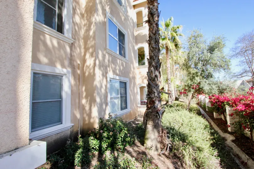 A sunny day in the area of La Costa Villas, outside, flowers, trees, bushes, window, condo
