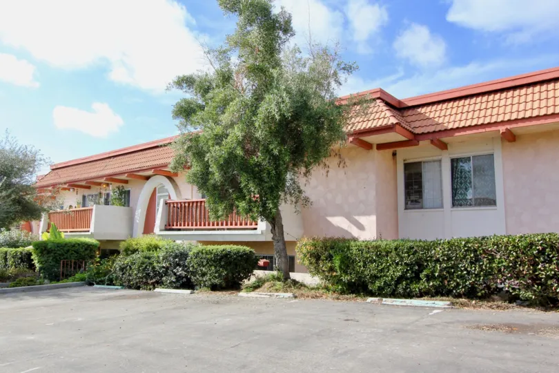 Huge house in La Montana with big lawn area and lots of trees