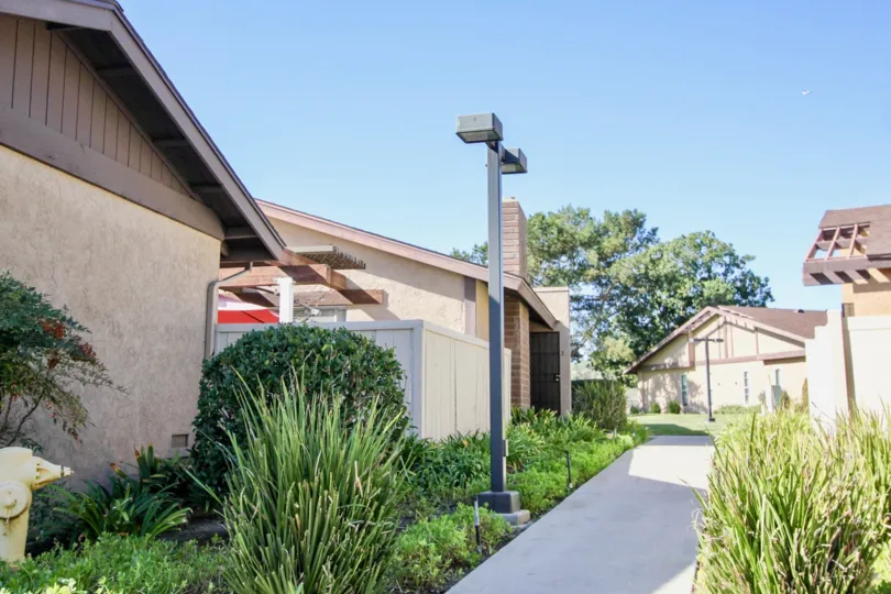 Concrete pathway flanked by well maintained shrubs and lampposts in Oceanside