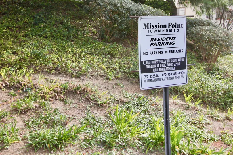 This picture highlights some of the local flora in Oceanside, California