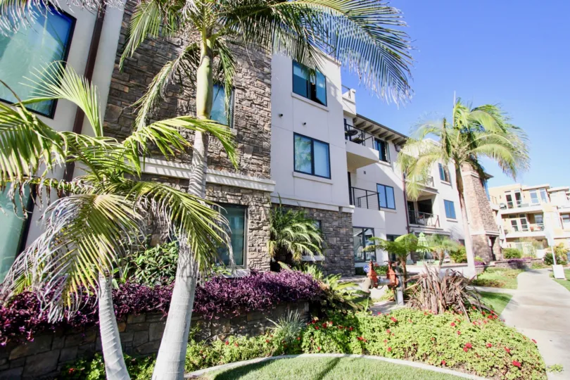 Palm trees and flowers line the walkways at Montego Condominiums.