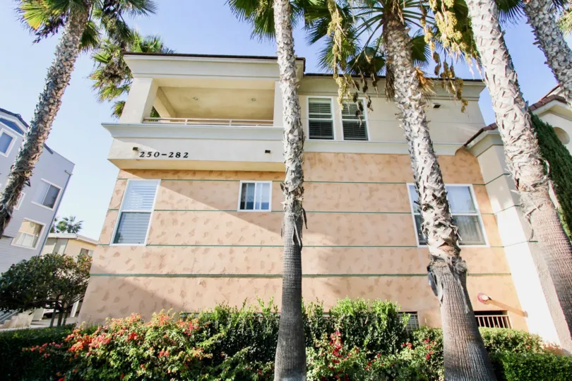 Neptune Point in Oceanside, California, Sunny Street View