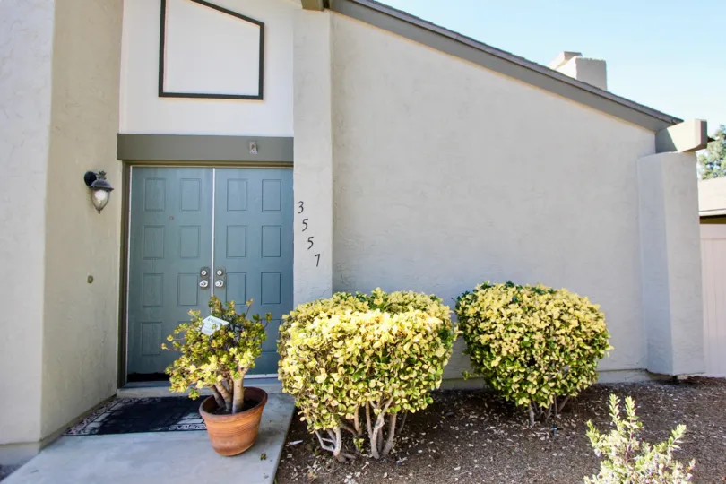 A sunny day in the area of Orchard Lane, outside, bushes, doors, potted plant, light