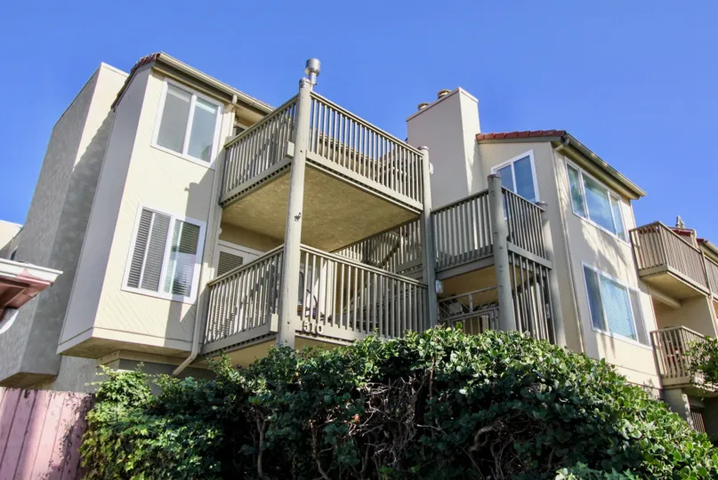 Top angle view of the building view with tree and plants in Pacific Star Pine
