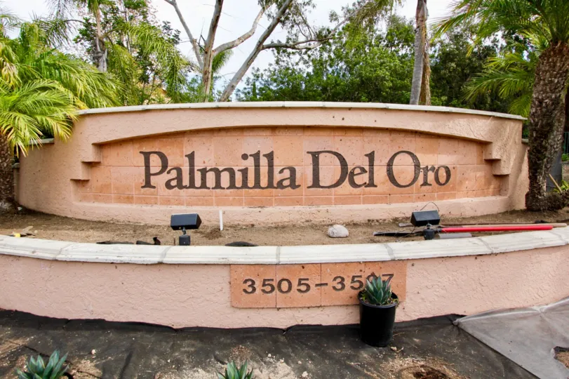 Beautiful large and lush green foliage located at Palmilla Del Oro