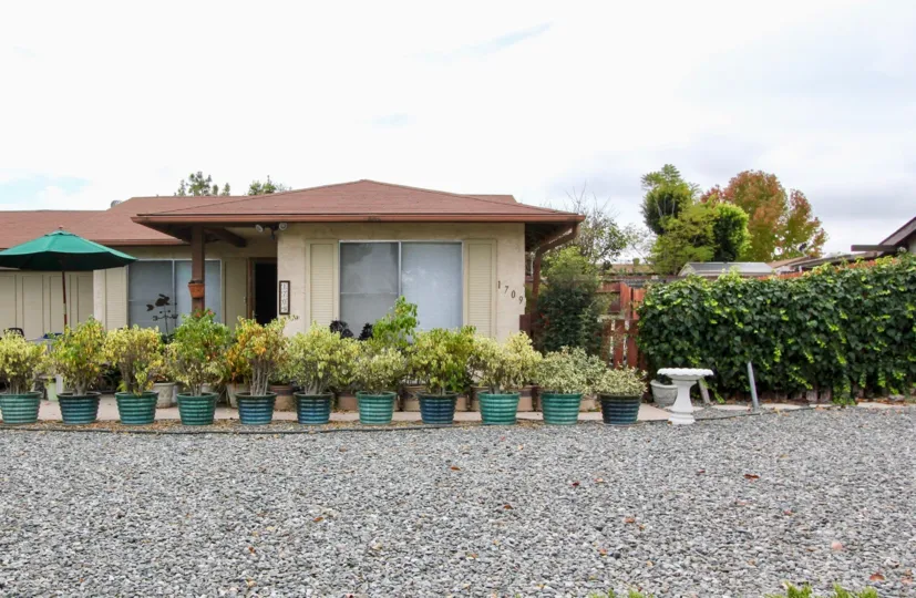 A sunny day in the area of Peacock Hills, potted plants, window, porch, umbrella