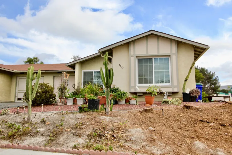 Beautiful Californian flora decorates this elegant Oceanside lawn