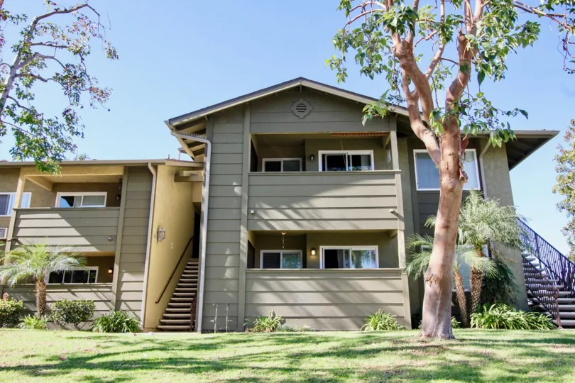 River Trail Apartments in Oceanside, California, Tree-Lined Street