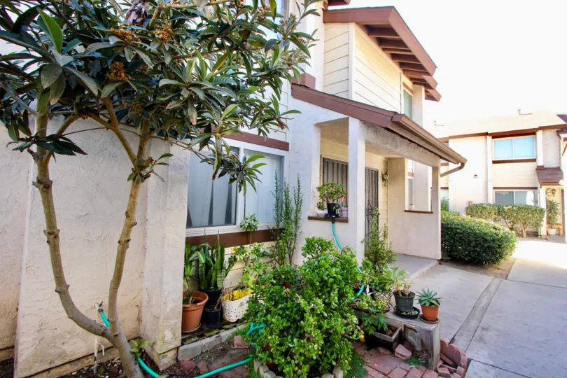 Trees & plants outside of a two story building with a red roof at Riverview Townhomes in Oceanside CA
