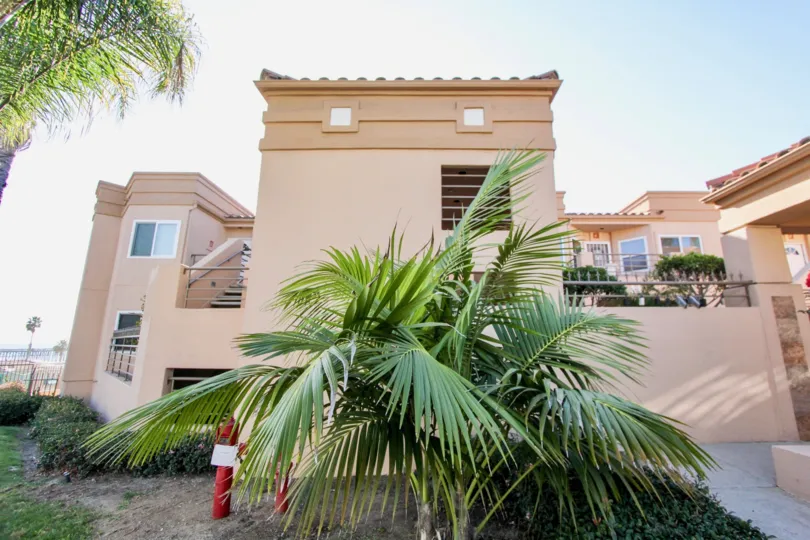 Two story housing structure behind palm trees in Oceanside California at San Miguel III