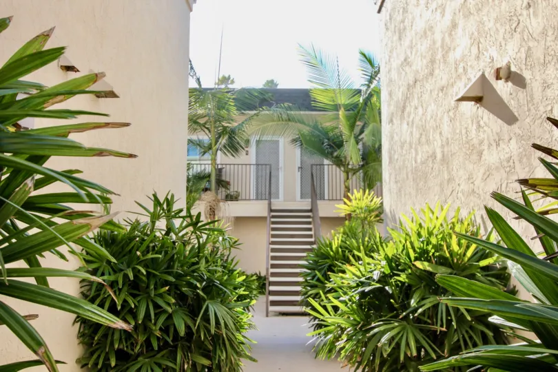 Californian architecture and garden life adorns this stunning picture