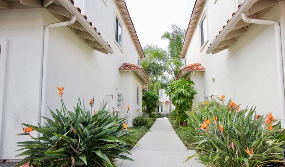 A Pathway which divides two divides two Villas painted in white and surrounded by plants wuth orange flowers at Villas at Mission Point