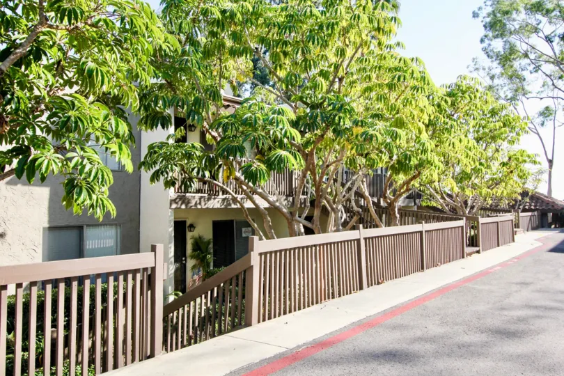 Huge trees in the back yard of the house with nice elevation of balcony in Vine Villas.