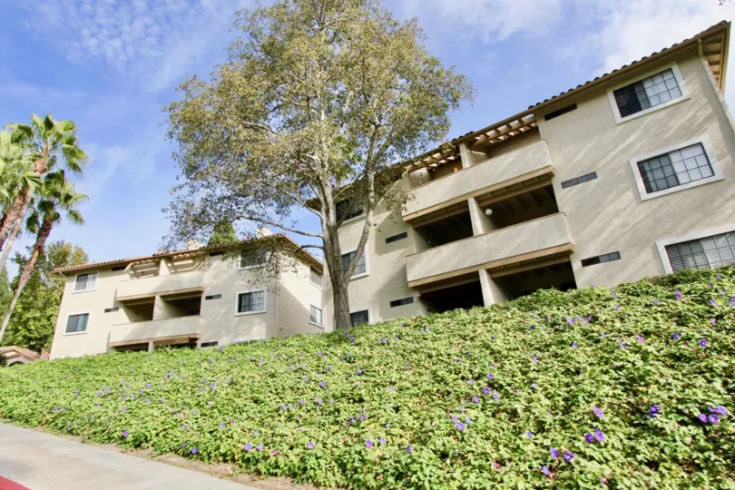 Very green and clean looking community can be found in Vista Way Village.