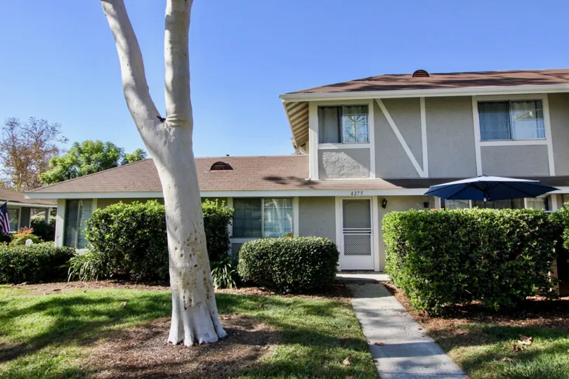 THE BUNGALAW IN THE WHELAN RANCH WITH THE LAWN, TREES, PLANTS.