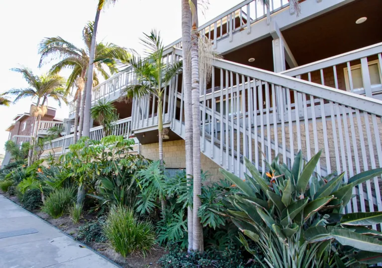 Mature palm trees and various plants with a sidewalk next to iron railings at White Water Village
