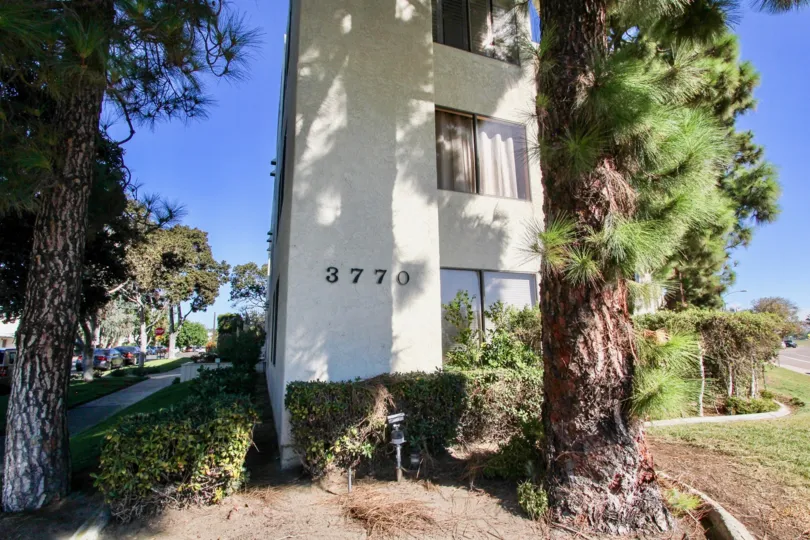 a housing building that is straight tall with trees on the sides on a clear day in 3770 Crown Point