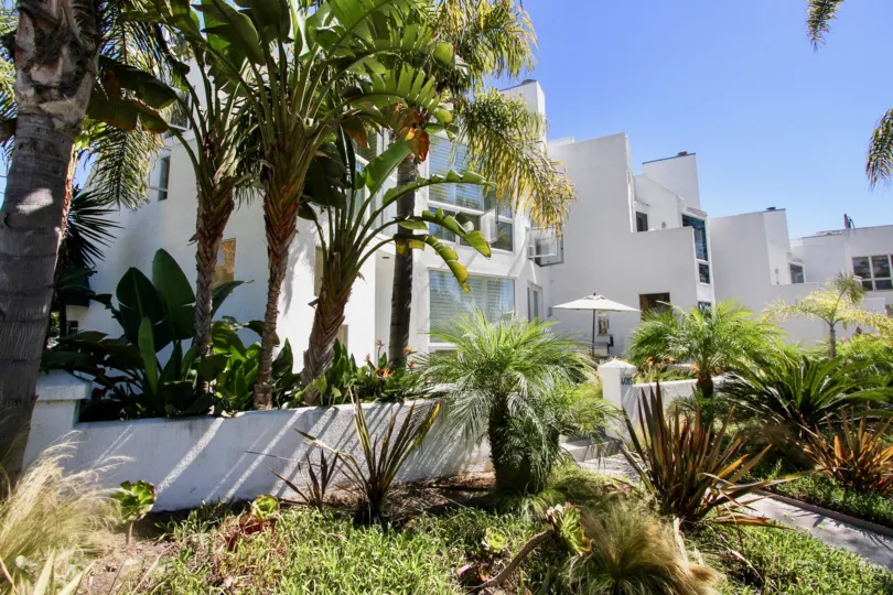 Green views with palm trees throughout the Bay Contemp community of Pacific Beach, California.