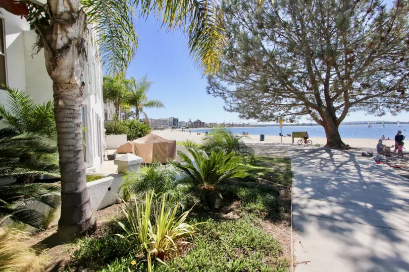 A Sunny day with beautiful view of trees near the beach at Bay Contempo in Pacific Beach