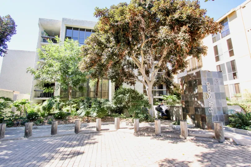 In Bay Scene, Trees and plants are placed with apartments of city Pacific Beach