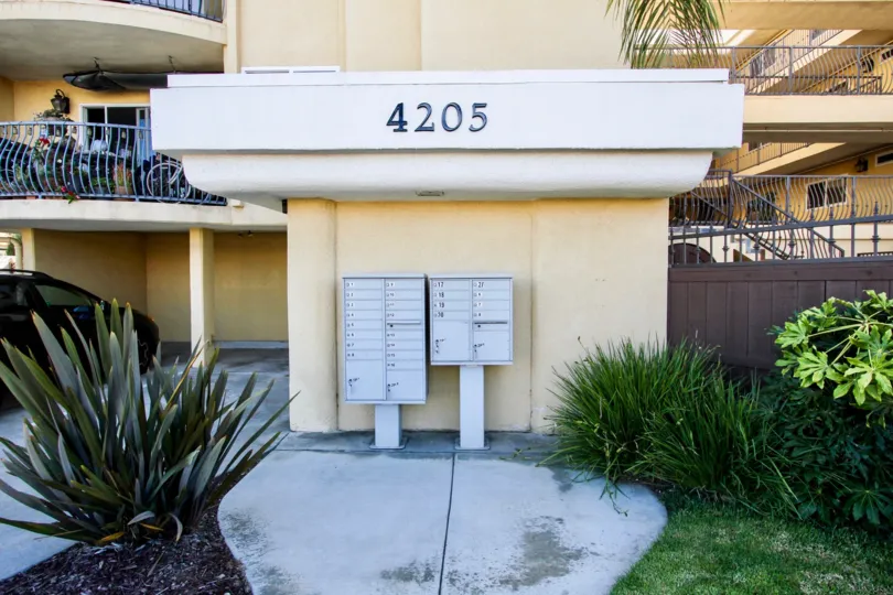 A plant in the Bay view Condos reminds me off the musical band Porcupine-tree.