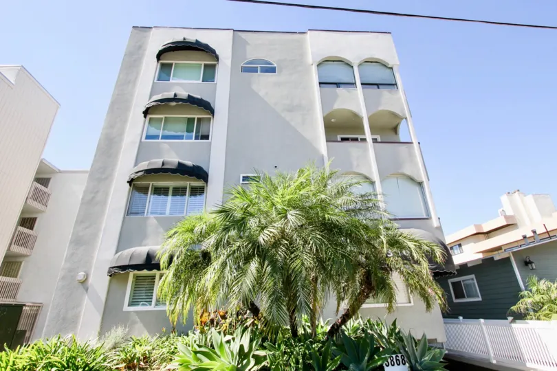 THE FLAT IN THE CARMEL COVE WITH THE TREE, PLANTS, WALL