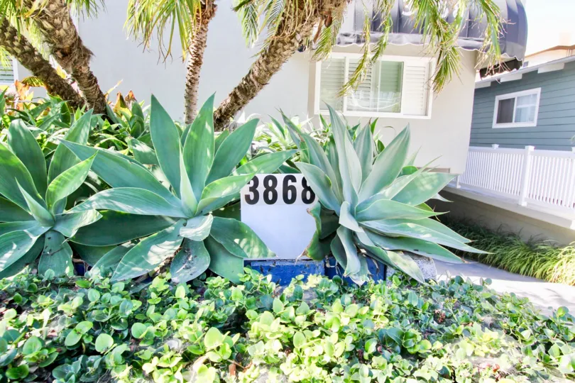 Front Street View of Carmel Cove, Pacific Beach, California