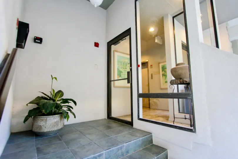 A money-plant in the Carmel Cove reminds me off my house’s interior design.