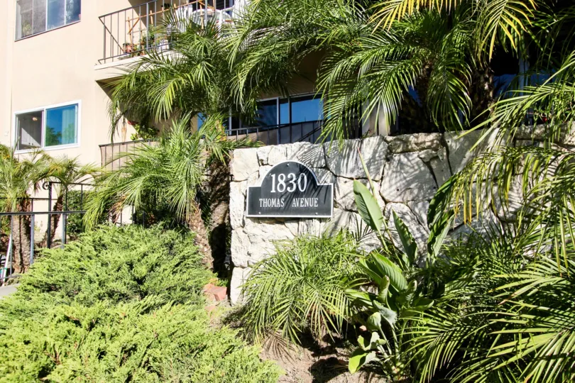 A sunny day in the area of Casa Thomas, outside, palm trees, patio, balcony, high ride