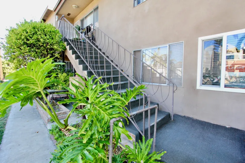 At side to the stairs of the apartment in Crown Point has green plants and bushes