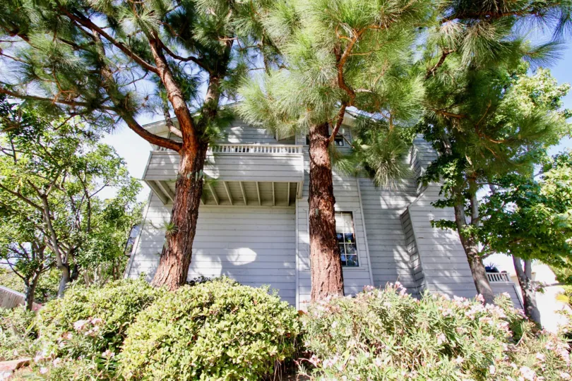 Green living at the Diamond by the Bay, Pacific Beach, California