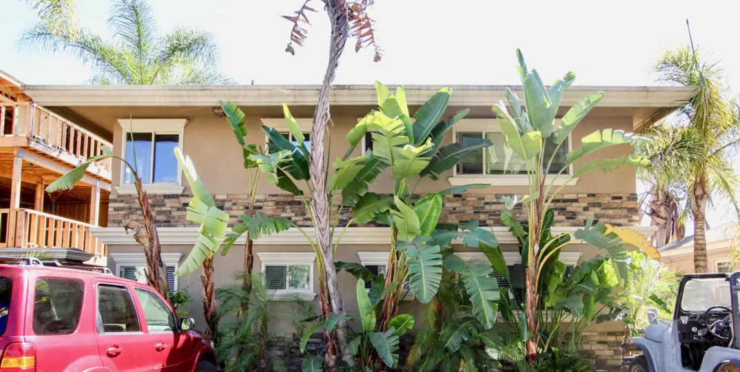 Luscious vegetation in your own front yard in Felspar Park of Pacific Beach