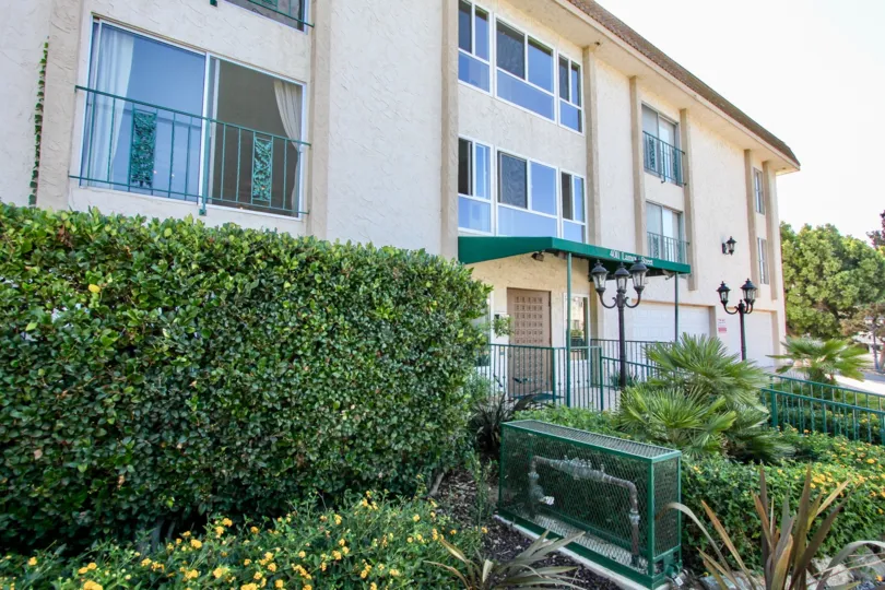 A sunny day in the area of Fortuna on Lamont, outside, palm trees, condos, parking lot