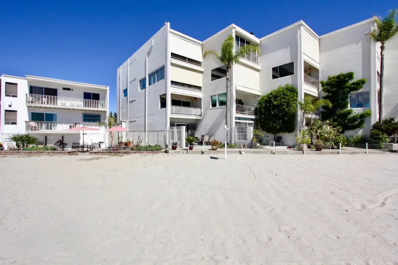 There are so many apartments with trees and flower pots with sand