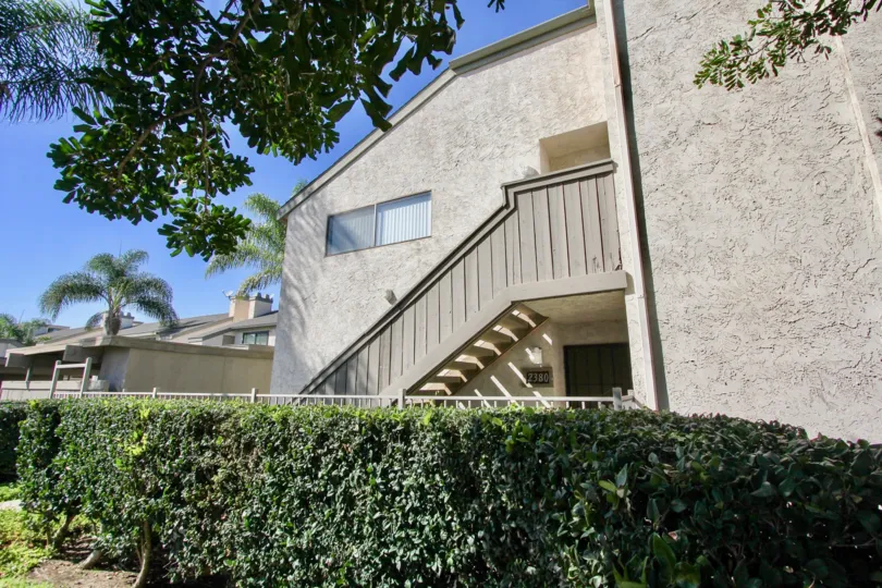 A sunny day in the la portola of Pacific Beach with building and trees