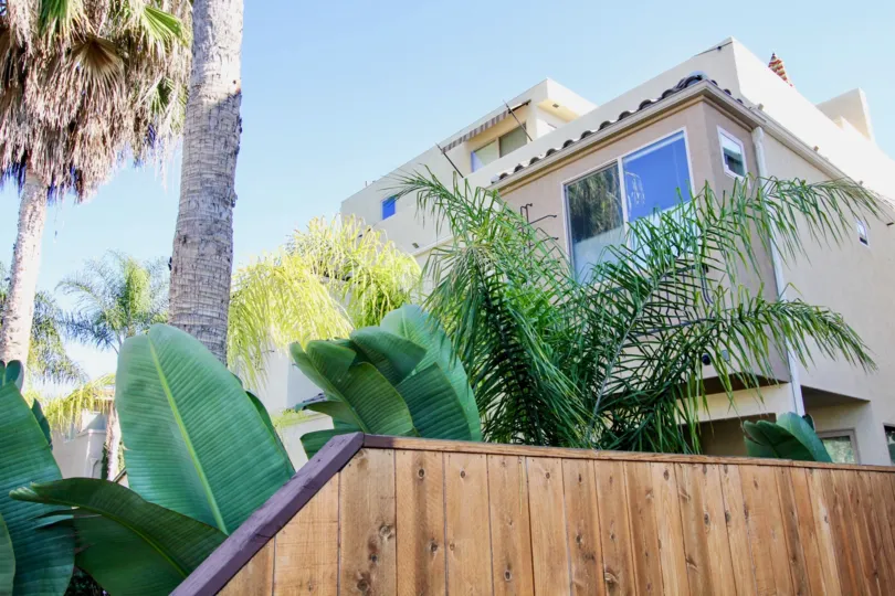 Lush landscaping at Lamont Street Townhomes in Pacific Beach, California.