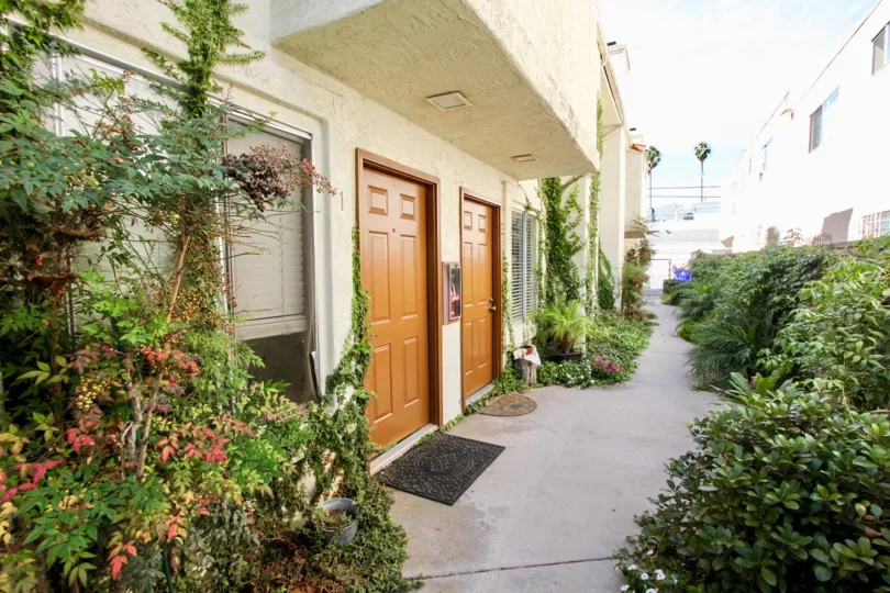 Apartments in the Pacific Beach surrounded by greenery.