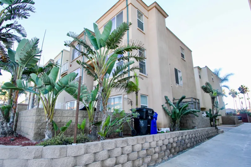Side of apartment building with a stone wall and topical bushes at North Pacific Beach Row Homes in Pacific Beach, Ca.