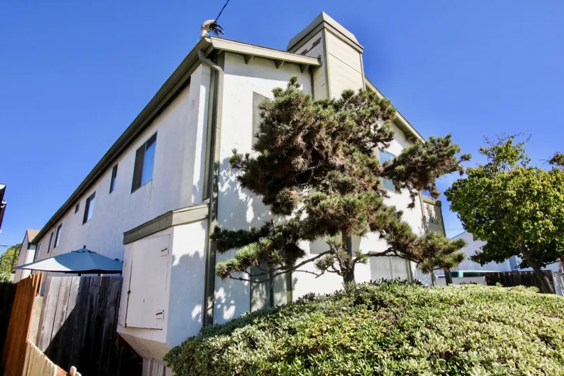 Oliver Villas Apartment and it's beautifully green neighborhood, pacific beach, california