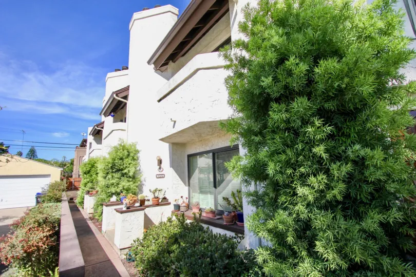 neat and green houses in Opal Townhomes, Pacific Beach, California