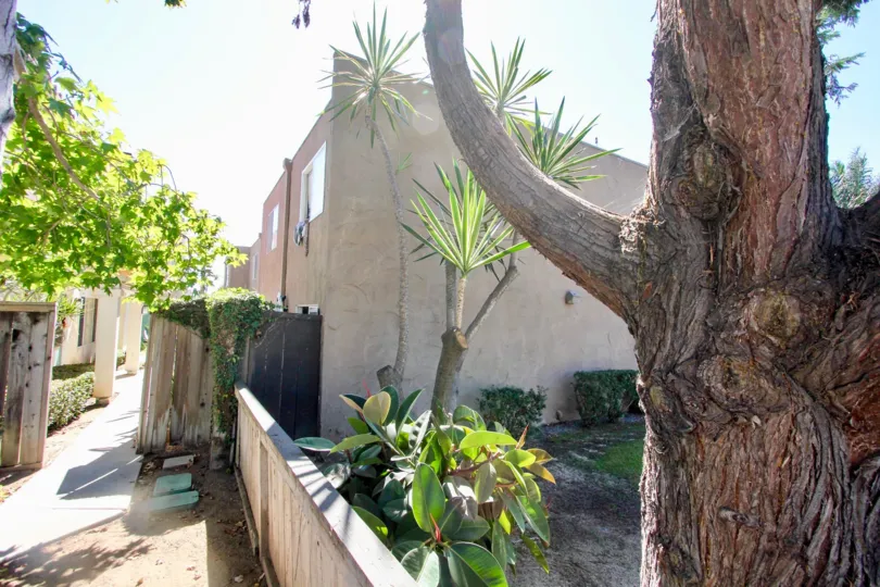 A SHINY DAY IN THE Pacific Beach Villas WITH BEAUTIFUL HOUSE AND SMALL GARDEN