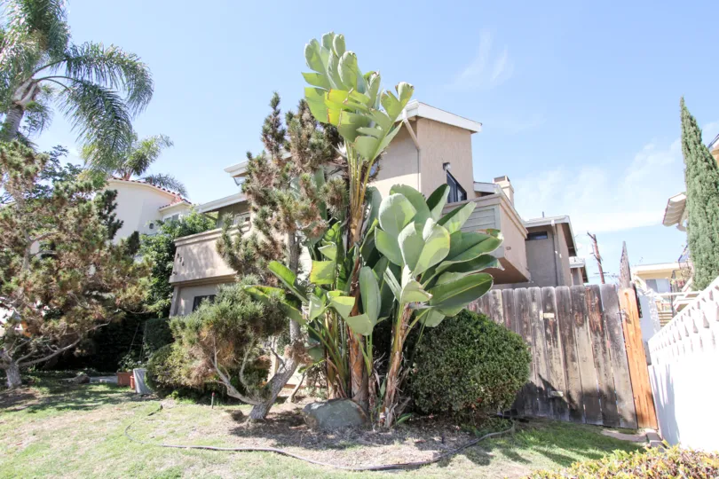 A sunny day in the area of Pacific View Townhomes, outside, sidewalk, tree, twooden fence