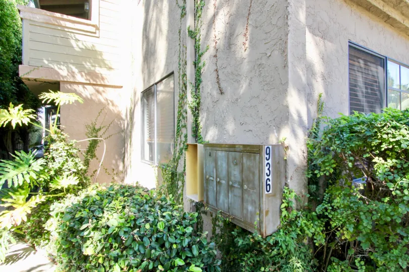 A GREEN BACKYARD OF A HOUSE CODED WITH 936 IN PACIFIC VIEW TOWNHOMES