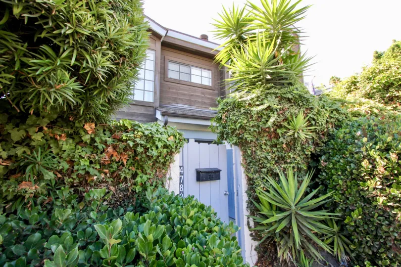 A NICE LIGHT GREY COLOUR HOUSE AND INFRONT OF SO MUCH OF PLANTS