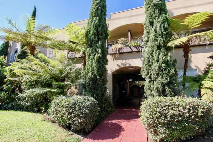 Two trees in front of house on sunny day In Portofino