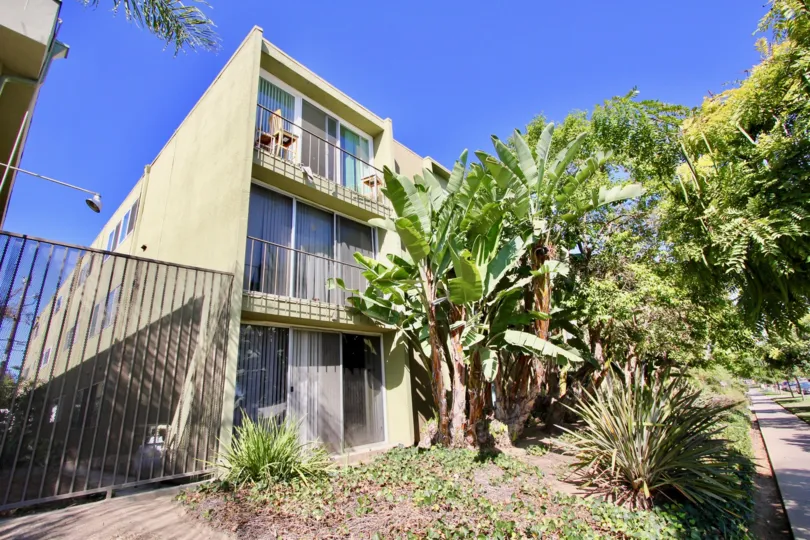 THE APARTMENT IN THE REGENCY CONDOS WITH THE BANANA TREES, PATHWAY, STEEL GATE, TABLES, BALCONI