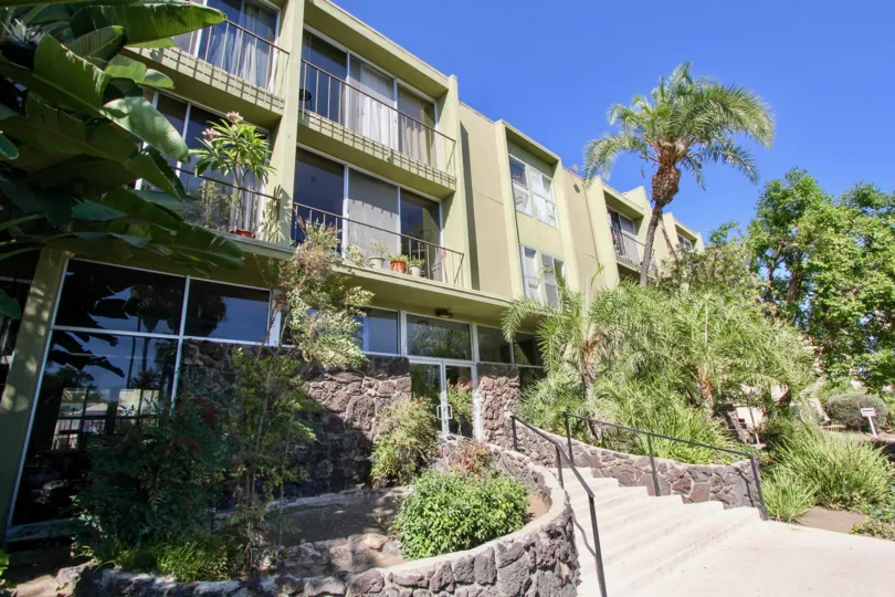 THE APARTMENT IN THE REGENCY CONDOS WITH THE BANANA TREES, UPSTAIRS, TREES, BALCONI, FLOWER POT