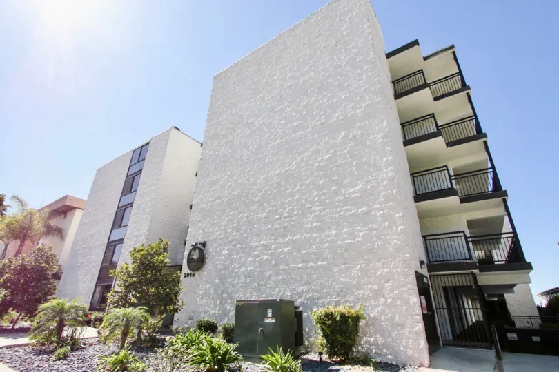 The Riviera Shores standning tall with plants around